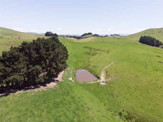 1921 Weber Road, Dannevirke