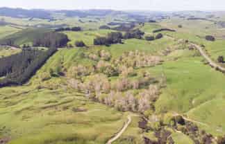 1921 Weber Road, Dannevirke