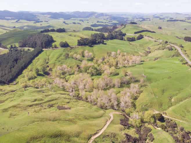 1921 Weber Road, Dannevirke