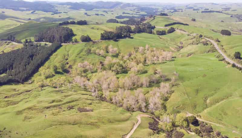 1921 Weber Road, Dannevirke