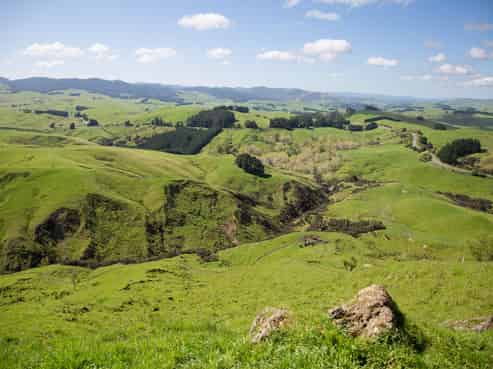 1921 Weber Road, Dannevirke