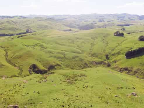1921 Weber Road, Dannevirke