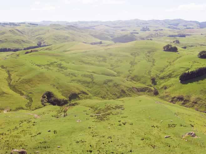1921 Weber Road, Dannevirke