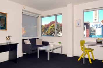 1F/242 Taranaki Street, Mount Cook