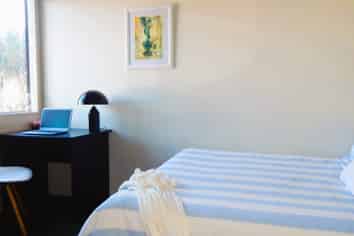 1F/242 Taranaki Street, Mount Cook