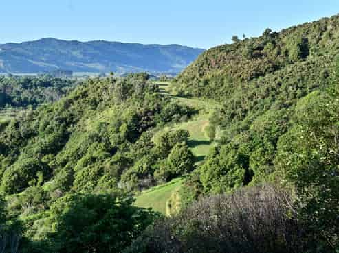 1 Newcastle Street sections, Mahia