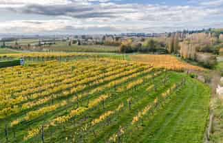 56 River Road, Havelock North