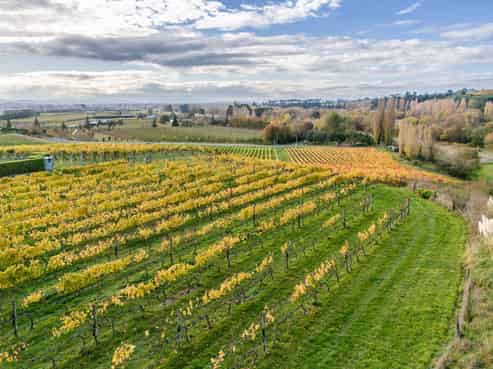 56 River Road, Havelock North