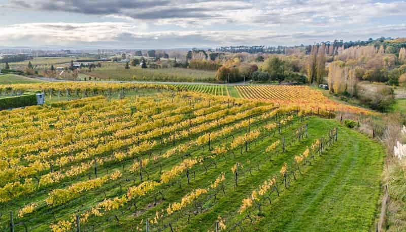 56 River Road, Havelock North