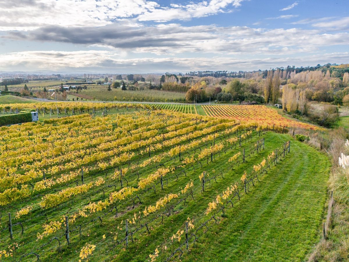 Blank Canvas Awaits on River and Village Edge, Havelock North