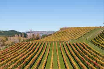 56 River Road, Havelock North