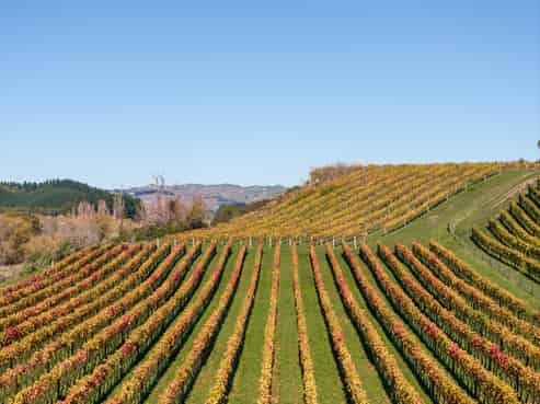 56 River Road, Havelock North