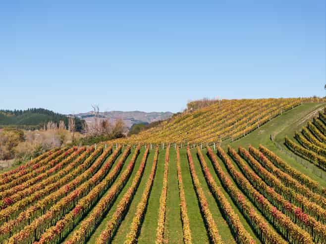 56 River Road, Havelock North