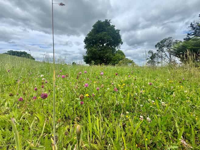 30C State Highway 2, Aongatete