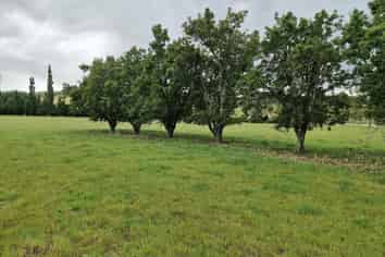 287 Oven Hill Road (Part of), Teviot