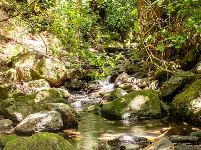 99 Jubilee Road, Wainui