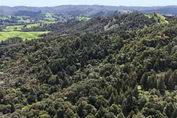  Otangaroa Side Road, Kaeo