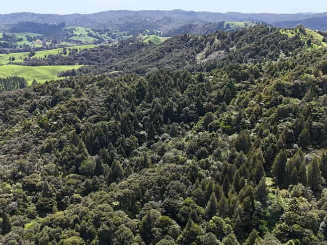  Otangaroa Side Road, Kaeo