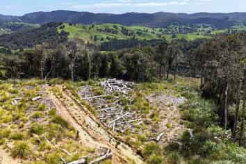  Otangaroa Side Road, Kaeo