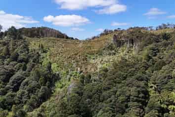  Otangaroa Side Road, Kaeo
