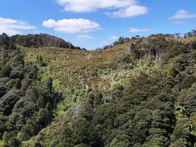  Otangaroa Side Road, Kaeo