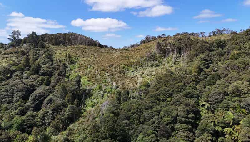  Otangaroa Side Road, Kaeo