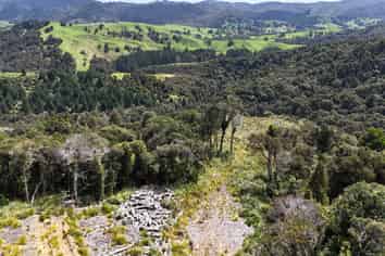  Otangaroa Side Road, Kaeo