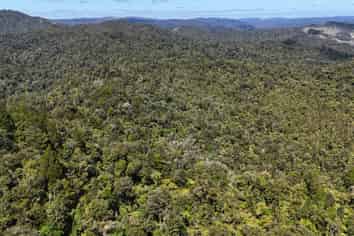  Otangaroa Side Road, Kaeo
