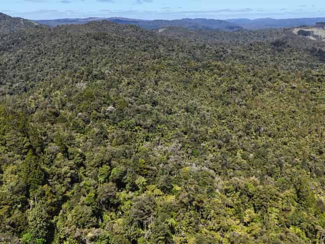  Otangaroa Side Road, Kaeo