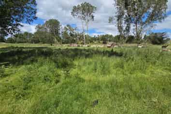  Grindon Street, RD3, Lawrence