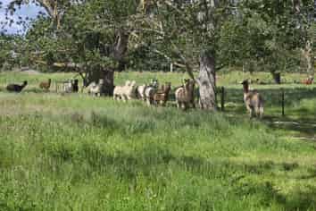  Grindon Street, RD3, Lawrence
