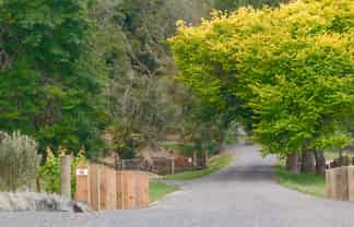 46 Relph Road, Ngongotaha Valley