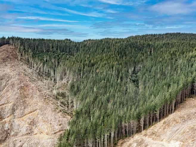  Lots 2-4, 14, 15, DP 9115 Motu Road, Matawai