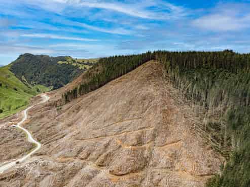  Lots 2-4, 14, 15, DP 9115 Motu Road, Matawai