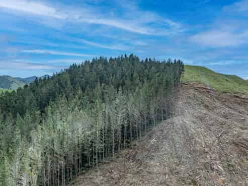  Lots 2-4, 14, 15, DP 9115 Motu Road, Matawai