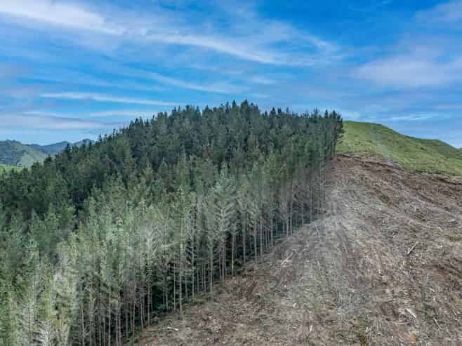  Lots 2-4, 14, 15, DP 9115 Motu Road, Matawai