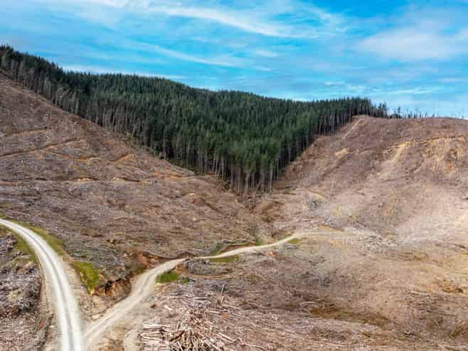  Lots 2-4, 14, 15, DP 9115 Motu Road, Matawai