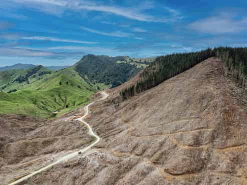  Lots 2-4, 14, 15, DP 9115 Motu Road, Matawai