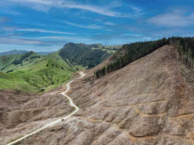  Lots 2-4, 14, 15, DP 9115 Motu Road, Matawai