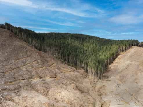  Lots 2-4, 14, 15, DP 9115 Motu Road, Matawai