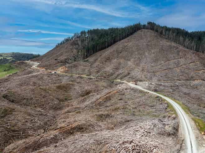  Lots 2-4, 14, 15, DP 9115 Motu Road, Matawai