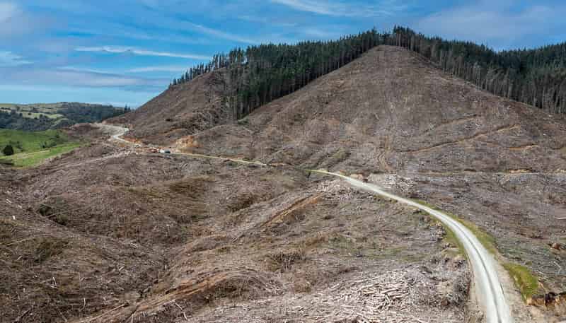  Lots 2-4, 14, 15, DP 9115 Motu Road, Matawai