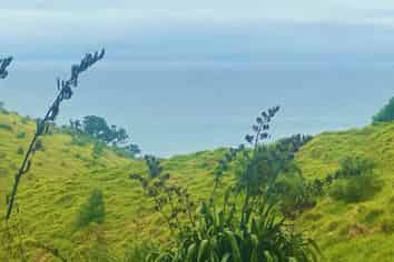 7 Askew Avenue, Rakino Island