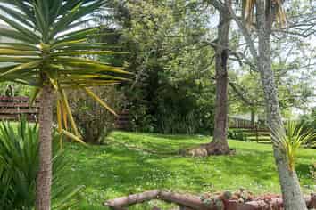 9 Andelko Place, Henderson