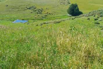  Lot 3 DP 592022 Siegerts Road, Fairlie