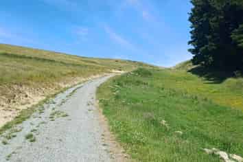 Lot 3 DP 592022 Siegerts Road, Fairlie