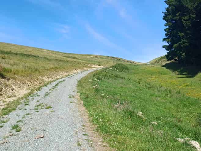  Lot 3 DP 592022 Siegerts Road, Fairlie