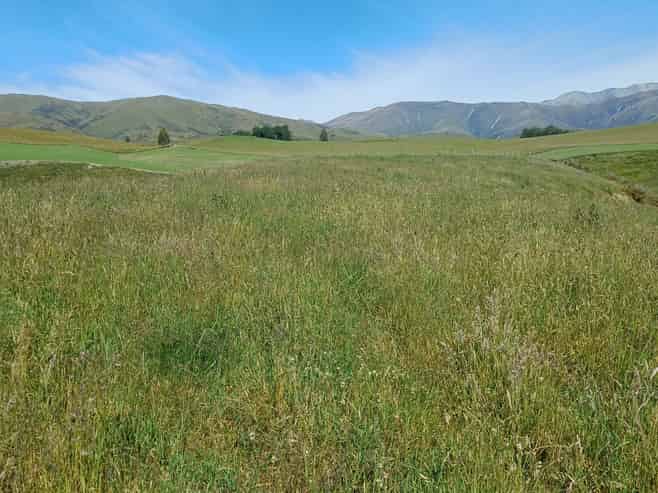  Lot 3 DP 592022 Siegerts Road, Fairlie