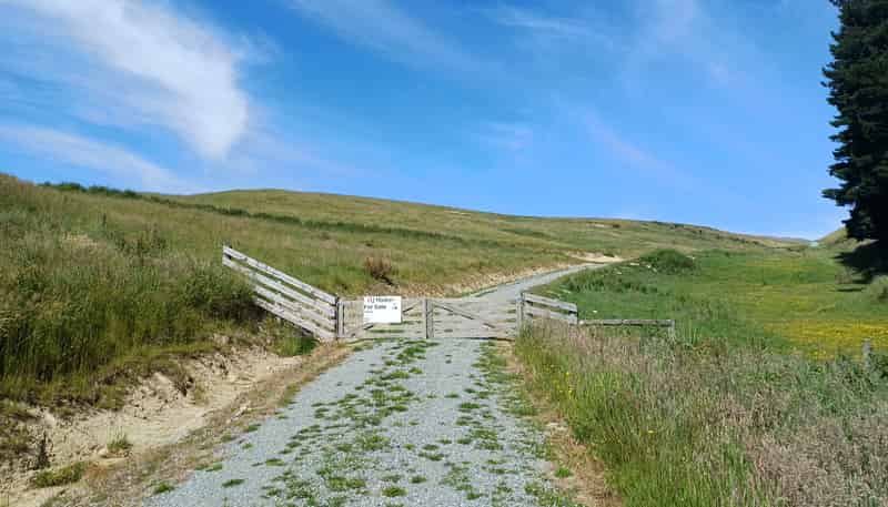  Lot 3 DP 592022 Siegerts Road, Fairlie