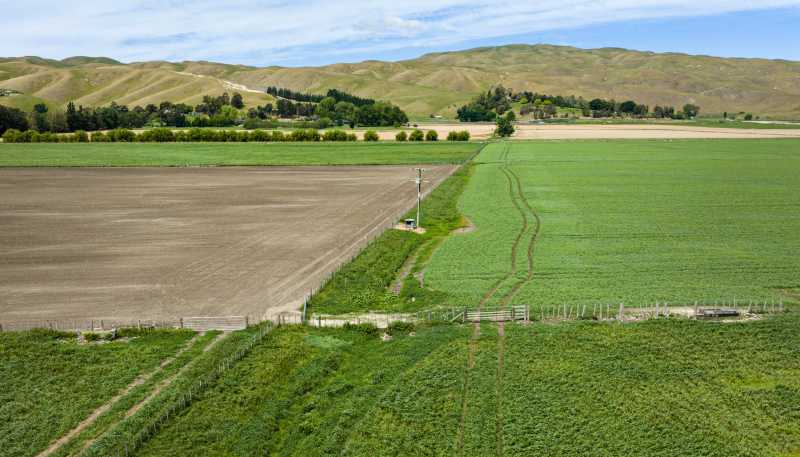 85 West Road, Havelock North